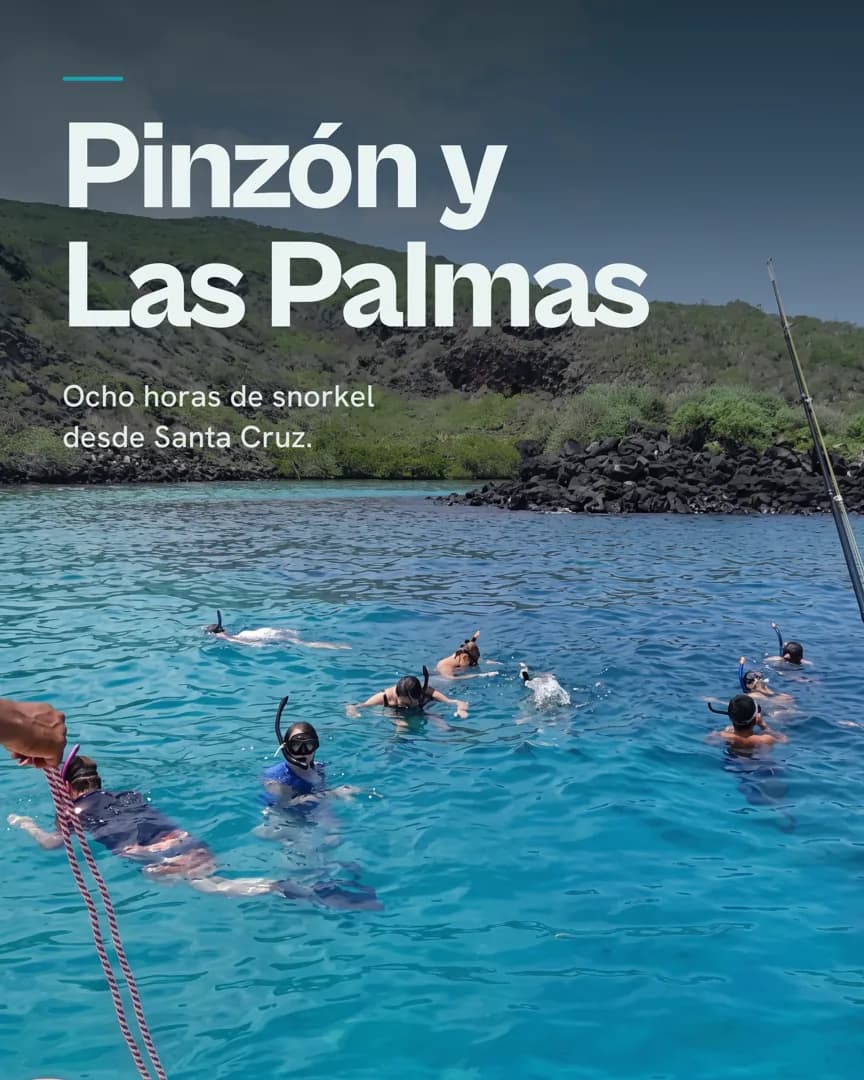 A post headlined “Pinzón y Las Palmas” over snorkellers in a bay, written in Spanish.