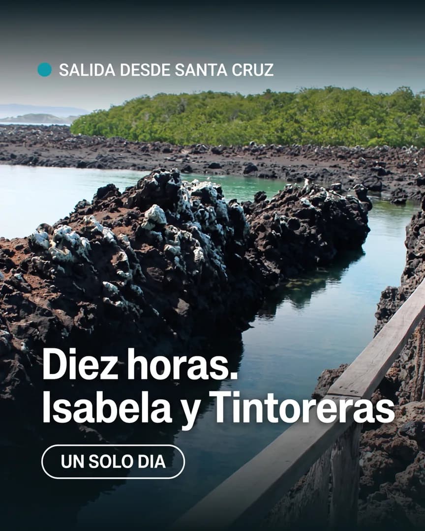 A post headlined “Diez horas, Isabela y Tintoreras” over a lava channel of clear water, written in Spanish.