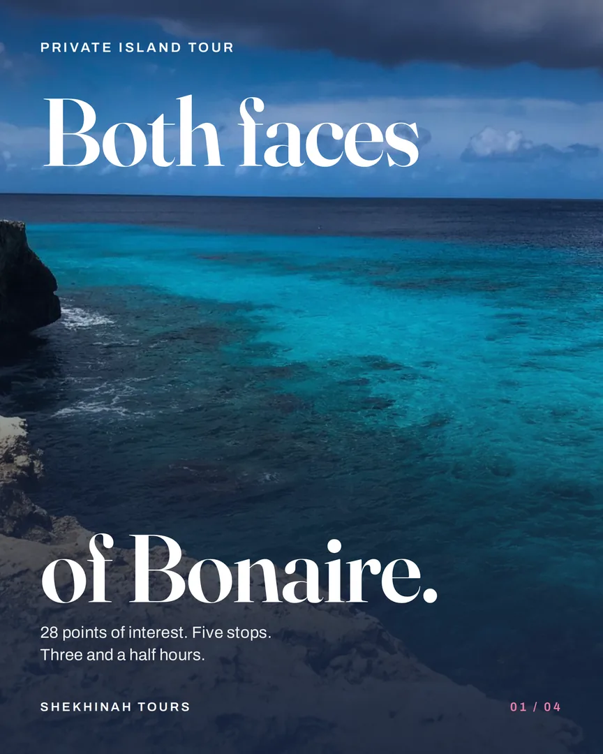 Rocky Bonaire coastline above turquoise reef water, titled Both faces of Bonaire.