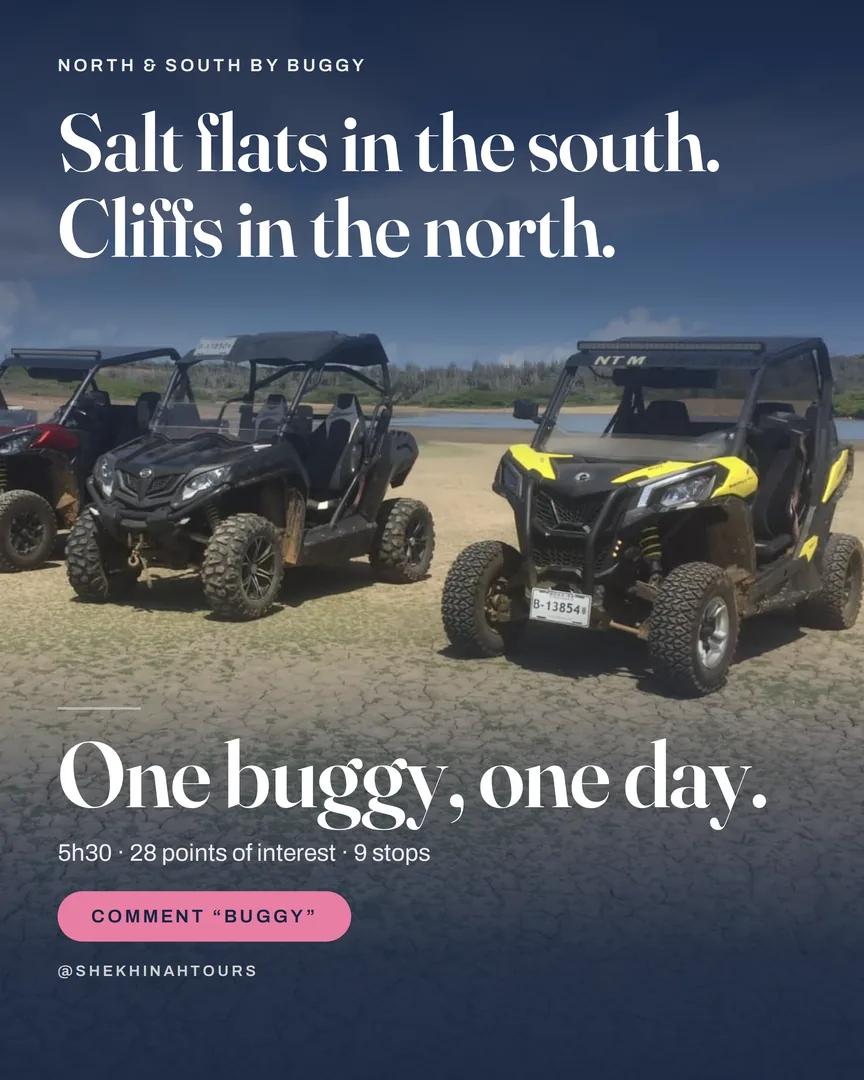Four off-road buggies parked on cracked dry ground beside a lagoon under a bright Bonaire sky.