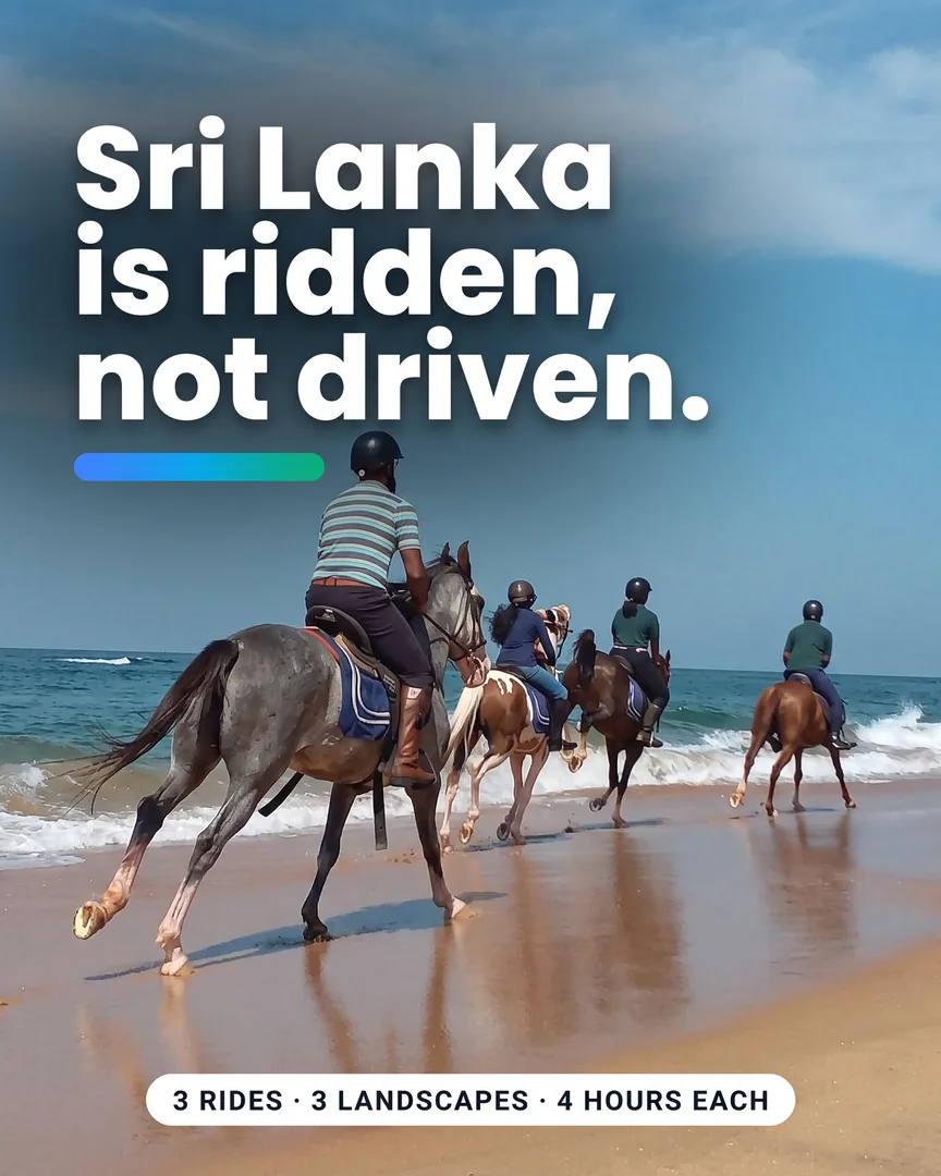 Four riders on horseback cantering along a Sri Lankan beach beside the surf.