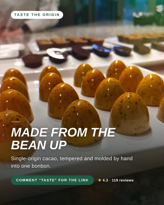 Finished Instagram post drafted by Studio for The Belgian Chocolate Makers: rows of glazed bonbons on a tray, headlined “Made from the bean up”