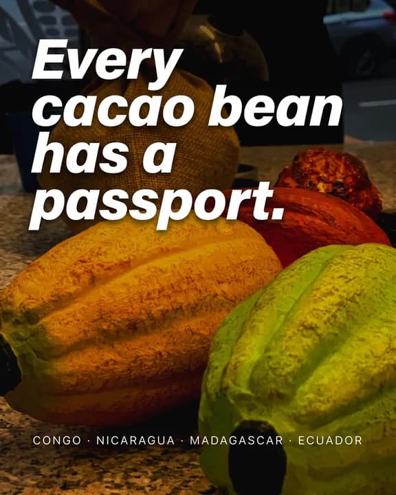 Instagram carousel cover for The Belgian Chocolate Makers: ripe cacao pods in yellow, red and green on a workbench, under the line “Every cacao bean has a passport”