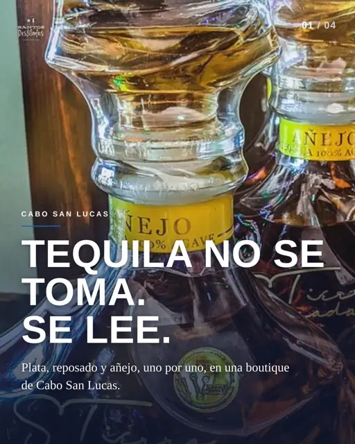 Instagram carousel cover for Santos Destilados: tequila boutique in Cabo San Lucas